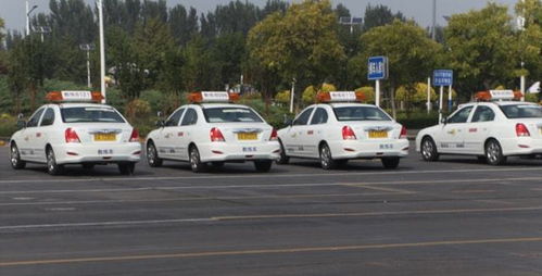 本市機(jī)動車駕駛員培訓(xùn)行業(yè)信用評價(jià)體系即將全面實(shí)施，促進(jìn)行業(yè)規(guī)范與服務(wù)質(zhì)量提升