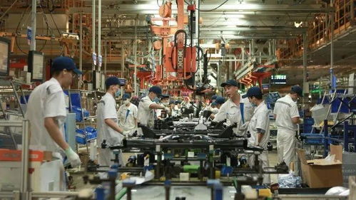 港珠澳大橋出入境客流破千萬 大灣區(qū)互聯(lián)互通活力彰顯